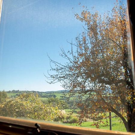 Vivere Retreat Neerim South Esterno foto