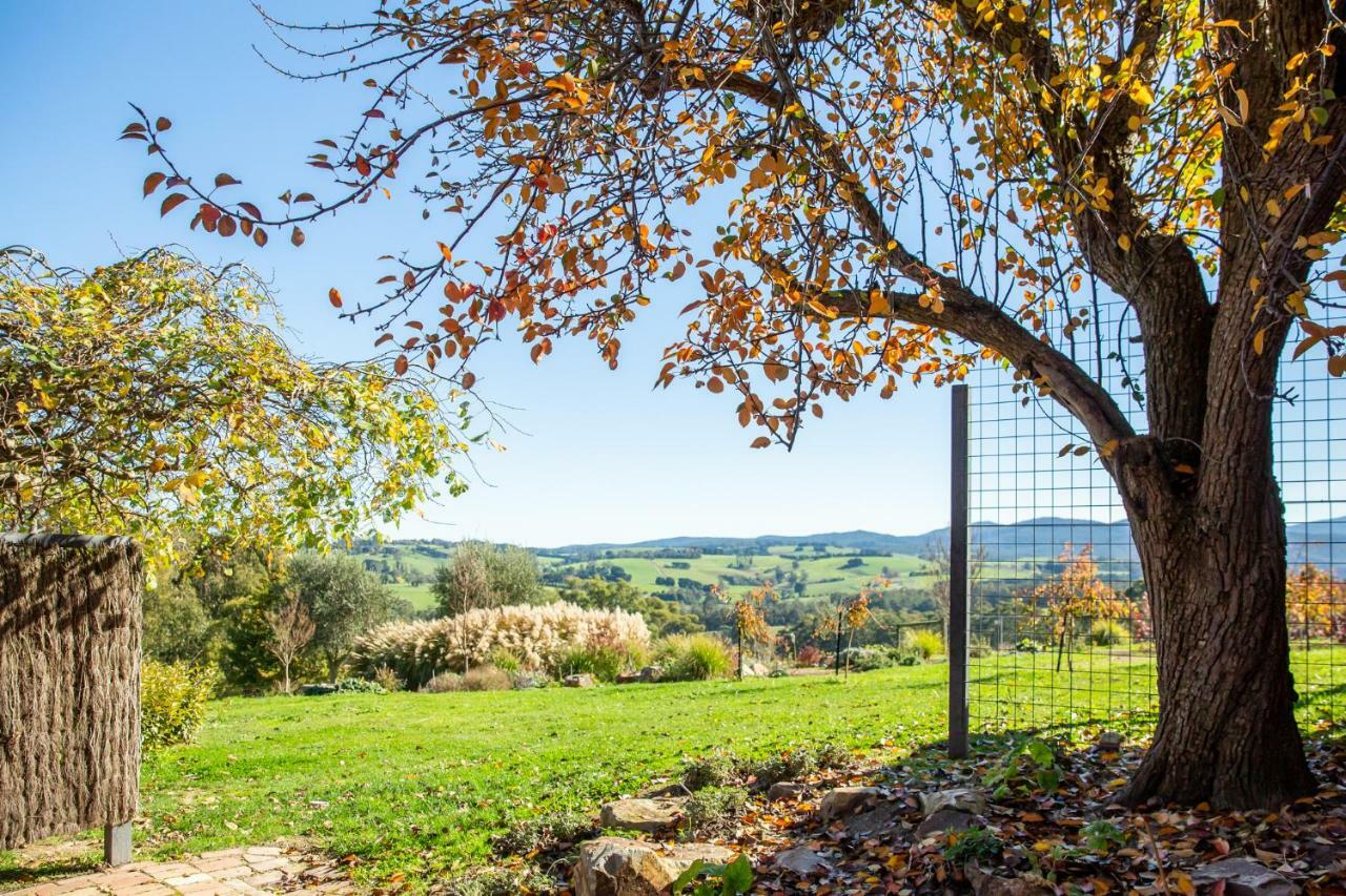 Vivere Retreat Neerim South Esterno foto